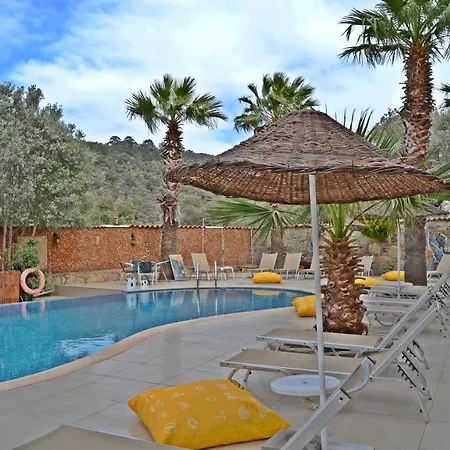 Oscar Otel 2*