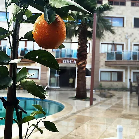 Oscar Bodrum